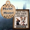 Spoilt Rotten Pets 19mm Mischief Managed Pawrauders Map Wizard Dog