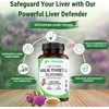 Milk Thistle High Strength 10000mg | Market-Leading Silymarin 400mg per