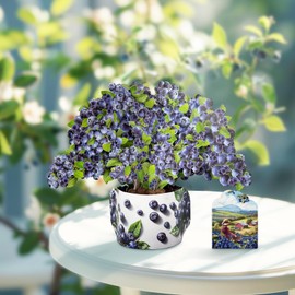 Pinelife Paper Pop up Cards 3D Blueberry Popup Greeting Card for Birthday, Anniversary, Gifts Card with Blank Note Card and Envelope, Blueberry Harvest