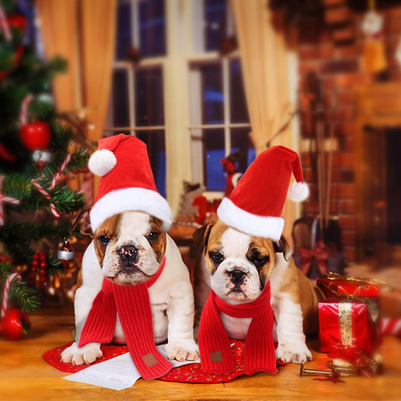 Rypet Dog Santa Hat and Scarf - Christmas Dog Costumes