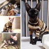 T'CHAQUE Sphynx Clothes, Cat Clothes for Hairless Cats, Stretchy Pullover