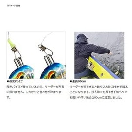 DAIWA Haste Boat Tachiu Otenya Leader No. 10