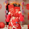 Pack of 10 Red Envelopes for Chinese New Year, Traditional