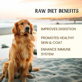 Deer Jerky Dog Treats - 100% Venison Meat, Grain-Free & All Natural | Healthy Chew Treats for Medium & Large Dogs | Made in USA - 8 Oz