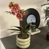 SANDYBAYTAS Ceramic Plant Pot Indoor, 4.5 Inch Flower Pot with