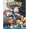 Pokémon Black and White, Vol. 8