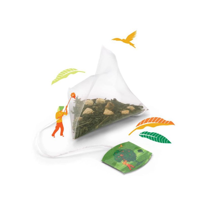 Twinings Discovery Collection Green Exotic Mango & Ginger, 30 Large