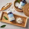 Daily One [Gift Box] Rhamnosus Ace 550mg x 60 Capsules