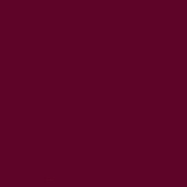 Rust-Oleum 249863 Painter's Touch 2X Ultra Cover, 12 Ounce (Pack of 1), Gloss Cranberry