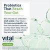 Hyperbiotics Hyperbiotics Vital Nutrients Pro Dental Probiotic | Clinically Studied
