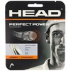Head Perfect Power 17/1.20 mm Squash 110 m Reel –