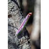 Rapala - Maxrap Walk'n Roll Fishing Lure Construction ABS -