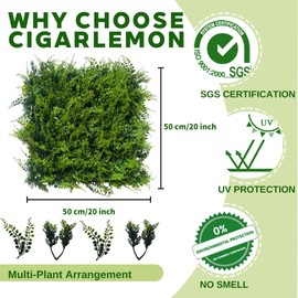 Cigarlemon Artificial Green Wall Panels – Realistic, UV-Resistant Grass for Indoor and Outdoor Use, Easy Installation, Maintenance-Free Vertical Garden - 20 inch*20 inch, 4 Pack