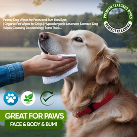 Petazy 400 Dog Wipes for Paws and Butt Ears Eyes | XL 8X8 Organic Pet Wipes for Dogs | Lavender Scent Dog Wipes Cleaning Deodorizing | Extra Thick Paw Wipes for Dogs Cats Pets | +4 Bonus Glove Wipes