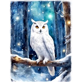 Meecaa Cross Stitch Kits 11 Count Stamped Animal Night Sky Owl Embroidery Kit with Accessories Pre-Printed (40x50cm) (Animal)