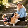 Washable Reusable Female Dog Diapers(5 Pack) Small Medium Large Doggie