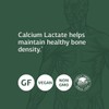 Standard Process Calcium Lactate Immune Support, 90 Tablets