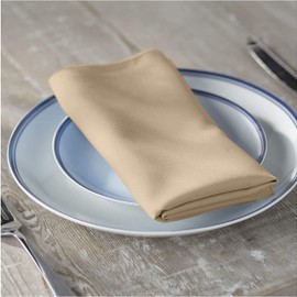 LA Linen 10-Pack Polyester Poplin Napkins 17 by 17-Inch, Khaki