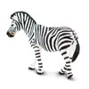 Safari Plains Zebra