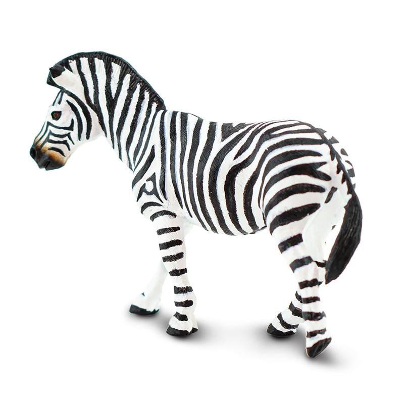 Safari Plains Zebra