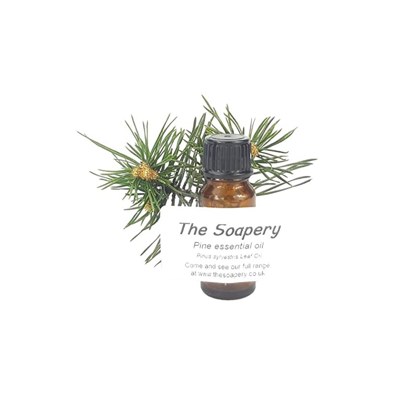 Pine Essential Oil 10ml - 100% Pure and Natural