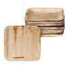 Palmplate High-quality environmentally friendly disposable tableware made of palm leaves,