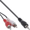 InLine® 2m 2x RCA Male to 3.5mm Male Stereo Audio