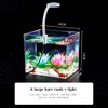 Aquarium Starter Kits - Arcrylic Fish Tank with 3W Light