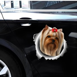 Car Sticker 25 cm (9.8 Inch) Yorkshire Terrier Beautiful House Dog Sticker Yorkshire Terrier Car Sticker Pet Dog Waterproof Sticker 3D Torn Metal Reflective Sticker Decorative