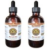 BlackBerry Liquid Extract, Organic BlackBerry (Rubus Armeniacus) Dried Root Tincture