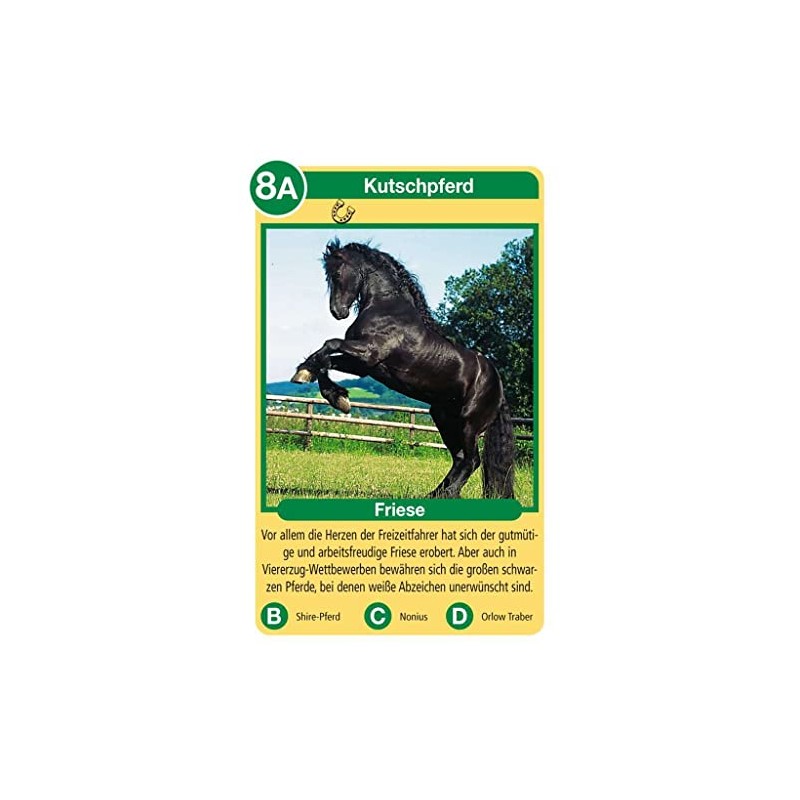 Ravensburger 20422 - Pferde und Ponys Tier Quartette