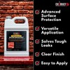 ChimneyRx Advanced Water Repellent - Clear Sealer for Masonry Surfaces