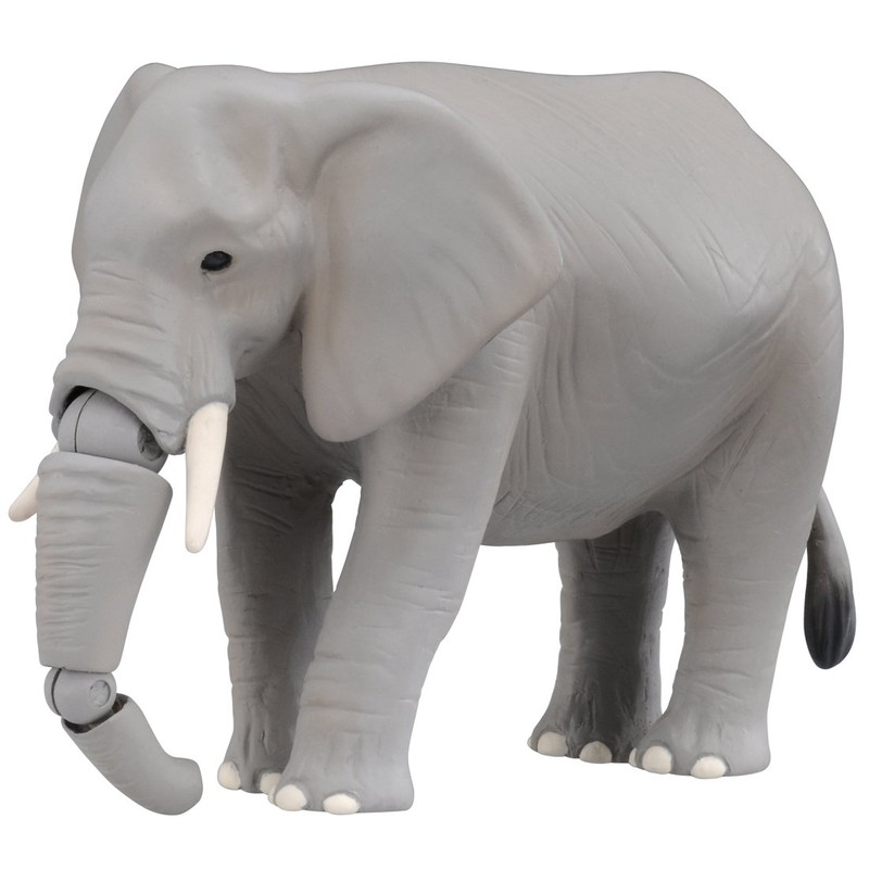 Ania Ag-01 Savannah Popular Animal Set