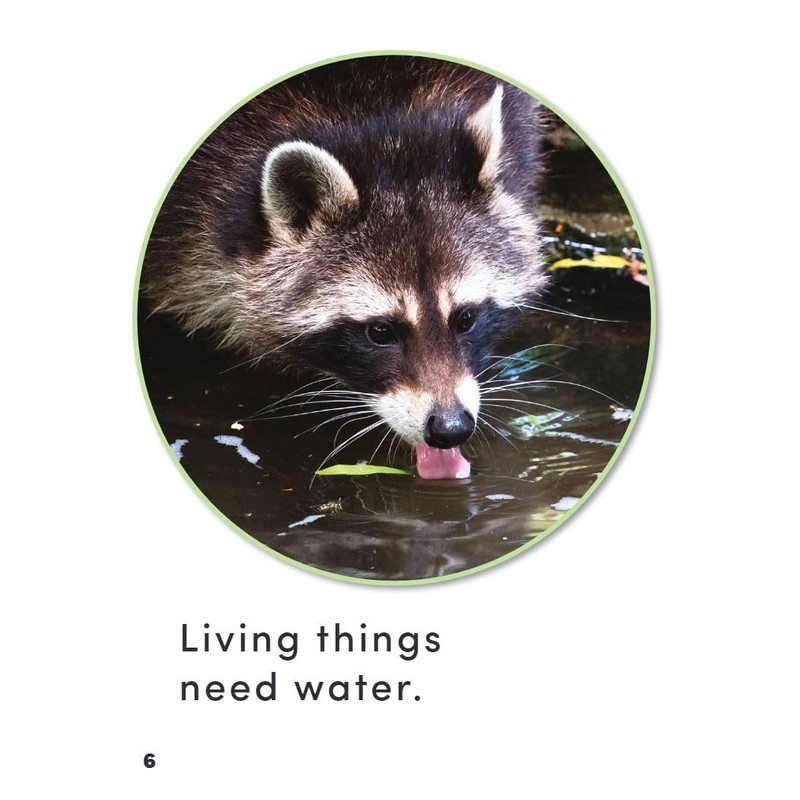 What Do Living Things Need?