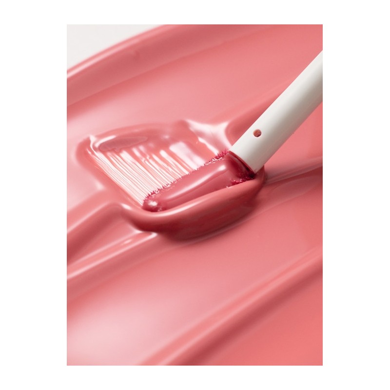 Gentle Kiss Glow Tint 3g / 젠틀키스 글로우 틴트 3g