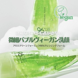 HOLIKAHOLIKA Aloe Clean Quarter Formula 96% Cleansing Foam, Holika Holika, Vegan, Face Cleansing, Aloe, Ultra Fine, Foam, Plant-derived Surfactant (5.1 fl oz (150 ml)