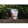 Crema Corporal Con Aceite De Caléndula +eco-refill 1.5kg Fresca