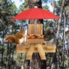PATIKIL Squirrel Feeder Picnic Table with Red Umbrella 7x8x11inch, Wooden