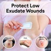 Bordered Gauze 4x4 Adhesive Bandages - Island Dressing Pads -