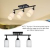 TODOLUZ 3-Lights Track Lighting Kit, Black Directional Ceiling Light Fixtures