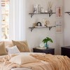 DINZI LVJ Long Wall Shelves, 39.4Inch Wall Mounted Shelves Set