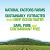Natural Factors Whole Earth & Sea Deep Ocean Minerals, 3.38