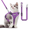 Cat Harness and Leash for Walking, The Upgrade Can be