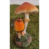 Vivid Arts - Brown and Red Robin on Toadstool Home