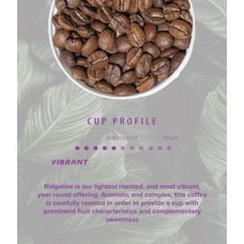 Rothrock Coffee - Ridgeline - Medium Roast - Whole Bean coffee - Colombian - blend coffee - 5lb Bag