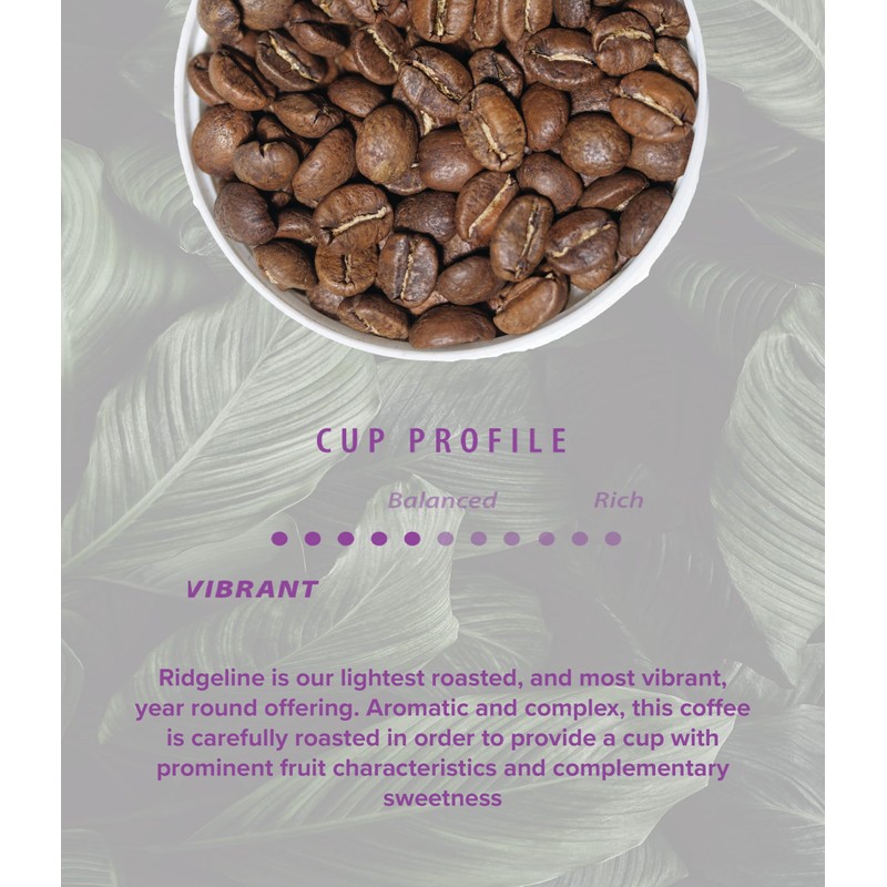 Rothrock Coffee - Ridgeline - Medium Roast - Whole Bean