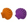 Seashells