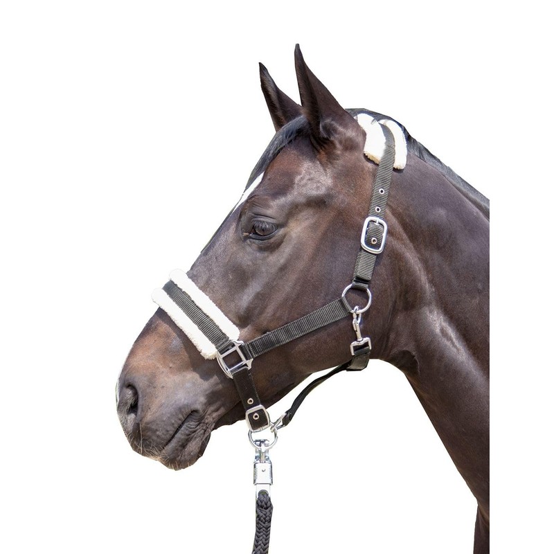 HKM 11796 Bischofshofen Headcollar Plush Padding Horse Halter Turquoise, Thoroughbred