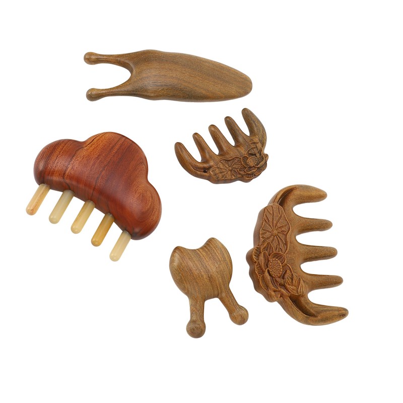 Meridian Massage Tool Kit Wood 3pcs Meridian Comb 2pcs Nose