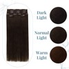 RUNATURE Brown Clip in Hair Extensions Human Hair Dark Brown